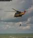 sea king.jpg - 33 Kb