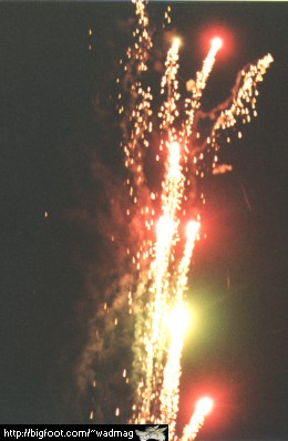 firework.jpg - 27 Kb