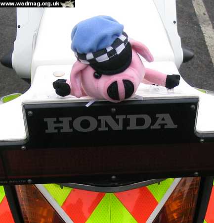 police bike pig.jpg - 18 Kb